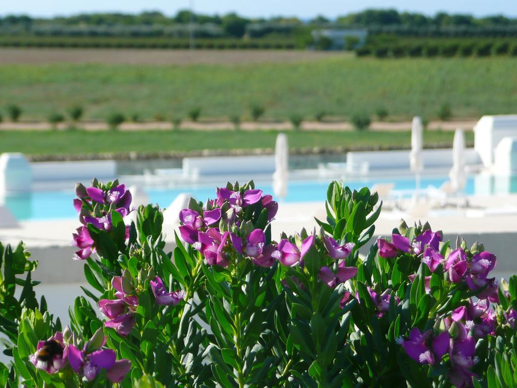 Masseria Bagnara Resort & Spa Marina di Lizzano Eksteriør bilde