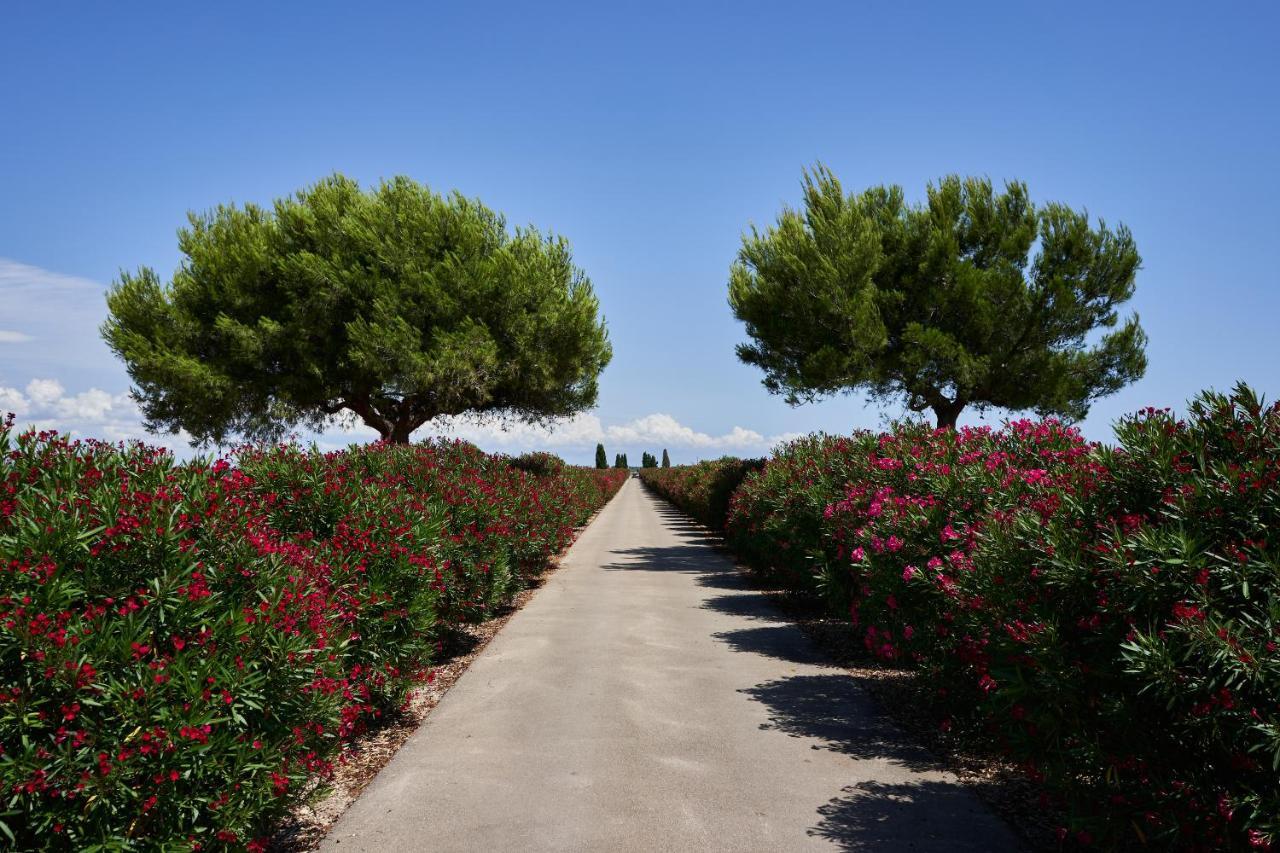 Masseria Bagnara Resort & Spa Marina di Lizzano Eksteriør bilde